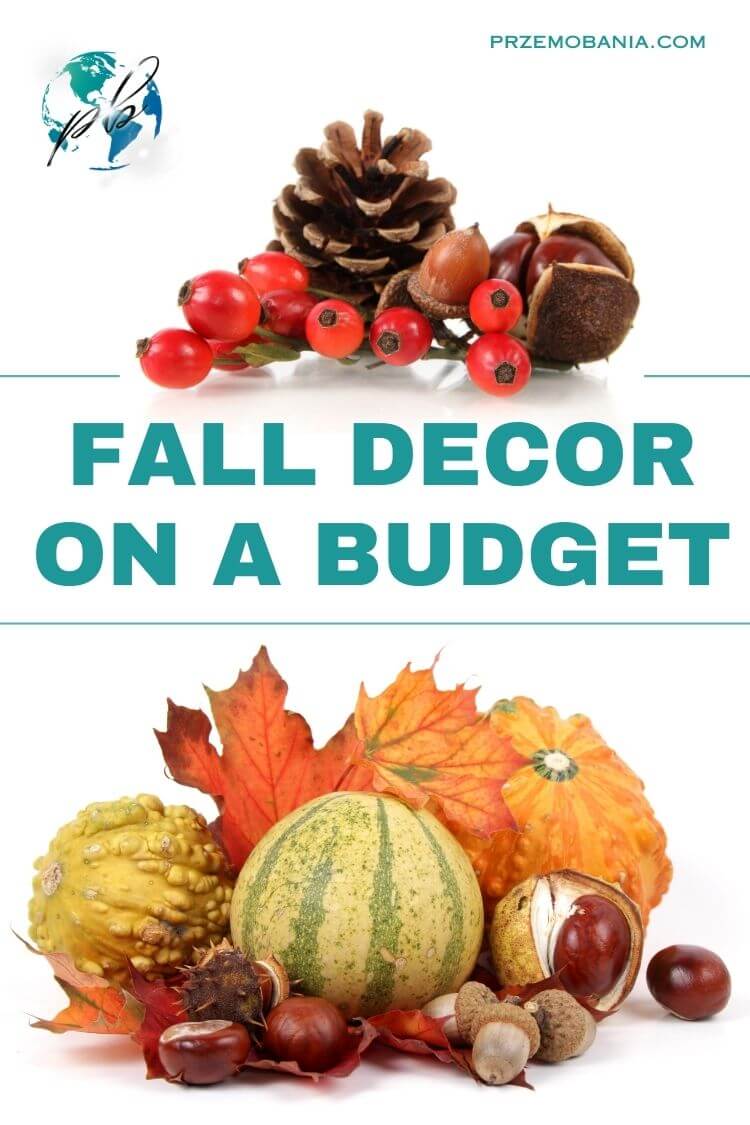 Fall decor on a budget 2