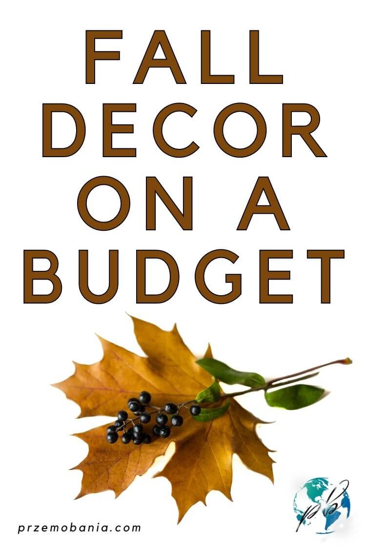 Fall decor on a budget 4
