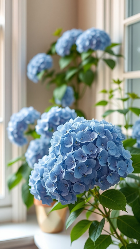A close-up of blue hydrangeas in a bright home office setting