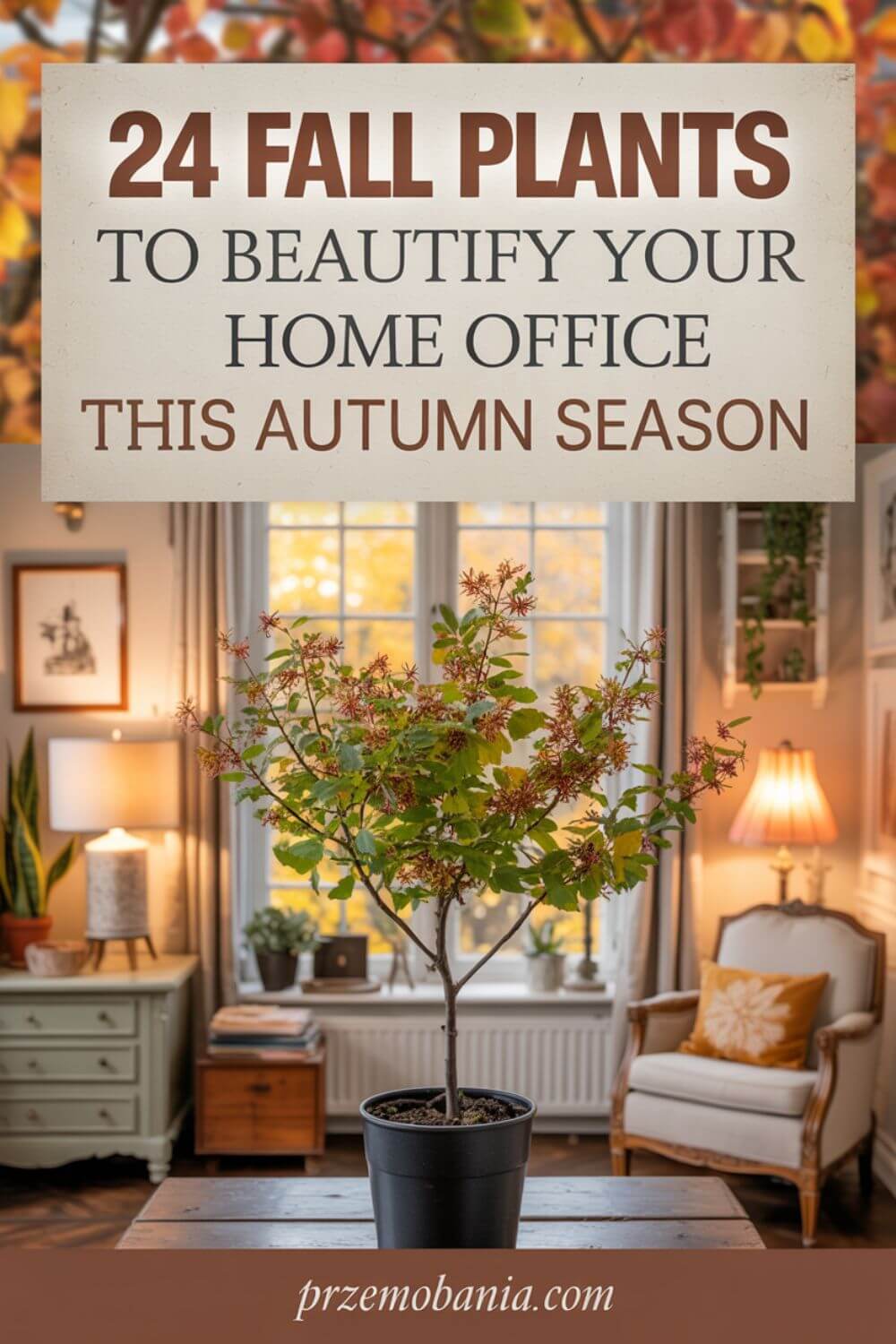 24 Fall Plants to Beautify Your Home Office This Autumn Season pin 3